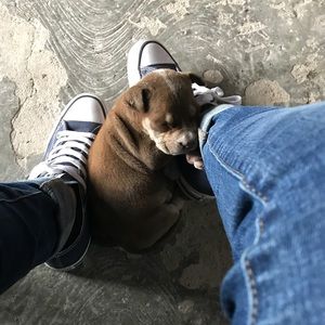 Meet your Posher, Veronica